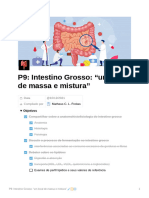 P9 Intestino Grosso Um Local de Massa e Mistura