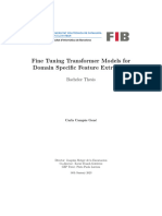 Fine Tuning Transformer Models For Domain Specific Feature Extraction