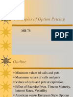 Principles of Option Pricing