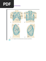 Semiologia Respiratoria