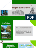 Trabajo Grupal - Ecologia