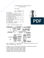 LISTA DE EXERCÍCIOS Divisão Celular