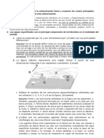 Preguntas Evau Temas 7-8-9