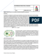 GUÍA DE APRENDIZAJE CPC 4° Fotosíntesis