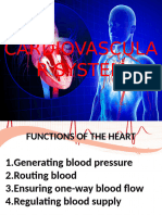 Cardiovascular System