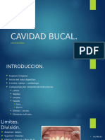 Histologia Cavidad Bucal