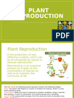 PLANT REPRODUCTION Revised