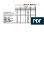 Matriz Del Perfil Competidor