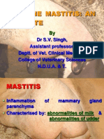 Bovine Mastitis SV