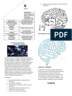 Taller Las Emociones 6°