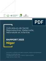 Rapport-Niger Final