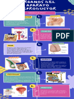 Infografia de Los Aparatos Reproductores.