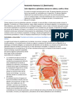 Guía Anatomía Humana 3.1