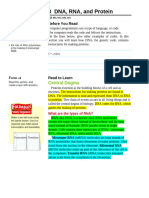 READING ESSENTIALS Chap 12 DNA RNA and Protein