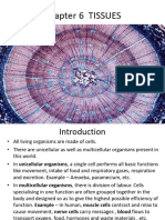 Class 9 CH-6 TISSUE by Vsishnavi Choudhary