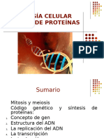 Sintesis de Proteinas