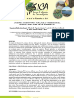 Anatomia Macroscópica de Madeiras Utilizadas para Artesanato No Município de Altamira