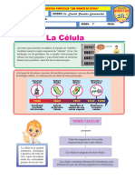 La-Célula - 1°