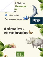 Animales Vertebrados 