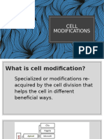 Module 5 Cell Modifications