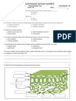 Plant Growth Test