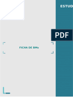 2.4. FICHA DE BMs