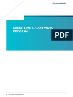 Credit Limits Audit Work Program