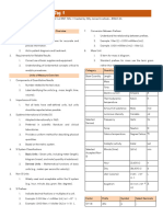 Encallado - CC1 Outline