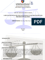 A Lei de Execução Penal e Suas Aplicações Slids