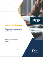 Lectura Fundamental - U1