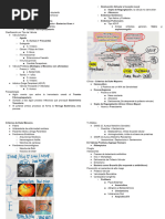 Endocarditis Infecciosa