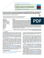 Molecular Identification of Some Species of Dragonfly (Odonata: Anisoptera) Using COXI Gene and DNA Barcodes From Basrah Province, Southern Iraq