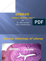 4 Uterus-1