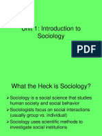 Sociology 2 Politics