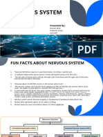 CNS Presentation