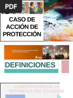 Caso Acción de Protección