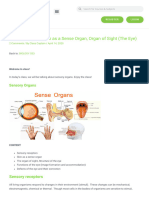 SensoryOrgansSkinasaSenseOrgan, OrganofSight (TheEye) - ClassNotes - NG 1726381096930