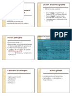 Antibiogramme Neisseria Gonorrhoeae