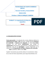 Unidad5LA ORGANIZACIÓN DE IDEASTeoriaVersDef