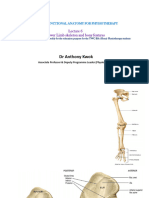 Lecture 6 Pelvis & LL 2023 