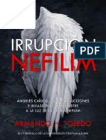 Irrupción Nefilim (Armando H. Toledo, 2005-25)