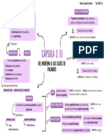 Esquema Cápsula 2 (I)