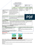 Partes de La Planta