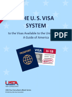 The US Visa System (USA Visa Consultant 2023) ENGLISH