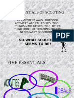 Essentials of Sctng.