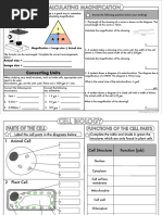 Bio Revision Sheets