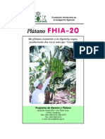 Fhia 20