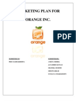 Marketing Plan For Orange Inc 1