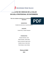 Plan de Cuidados Al Paciente Con Problemas de Ansiedad y Depresión