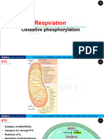 L-5 Oxidative Phosphorylation